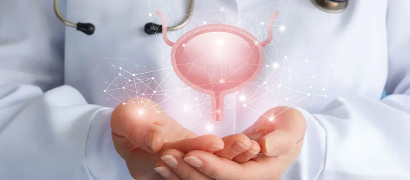 Advanced Prostate Support for Men's Health