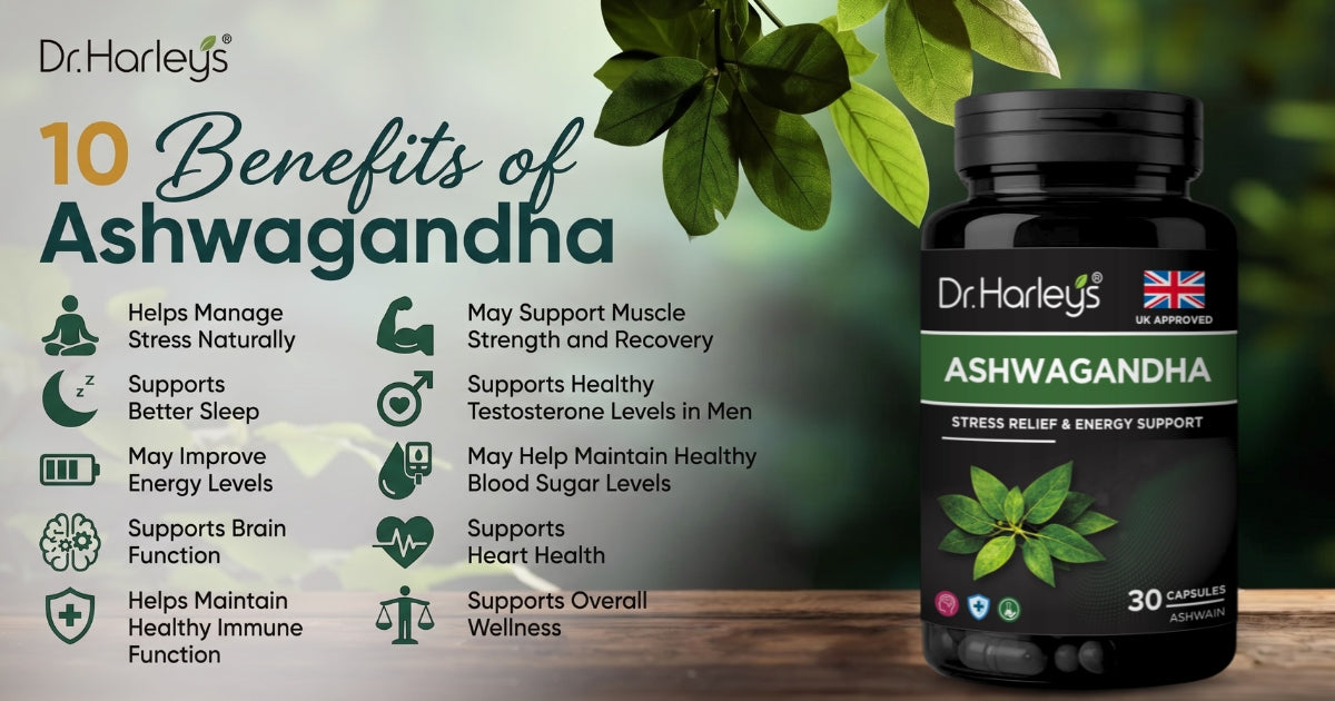 10 Benefits of Ashwagandha for Health and Wellness Guide