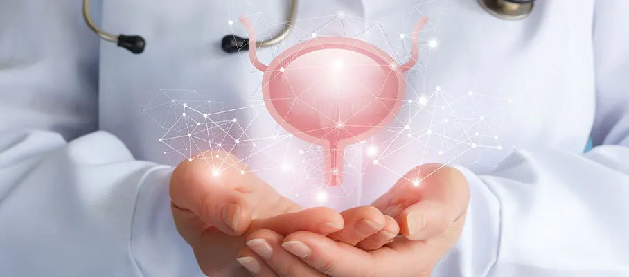 Advanced Prostate Support for Men's Health