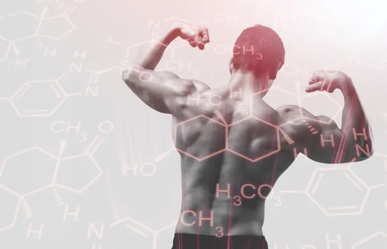 Boost Testosterone Naturally