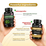 Relax + Recover Bundle