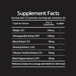 Shilajit Gummies Multipack